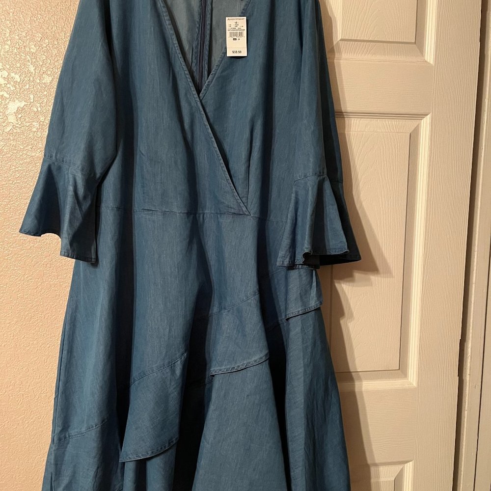 Denim Ruffle Sleeve and Skirt Dress